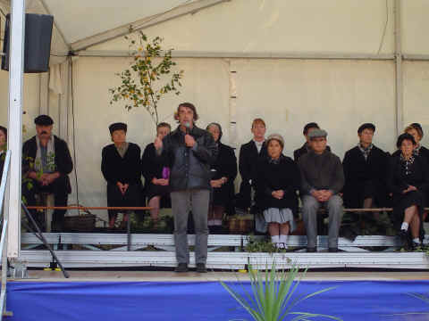 Quand les arbres racontent