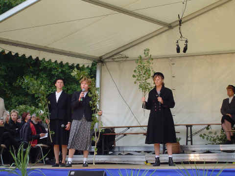 Quand les arbres racontent