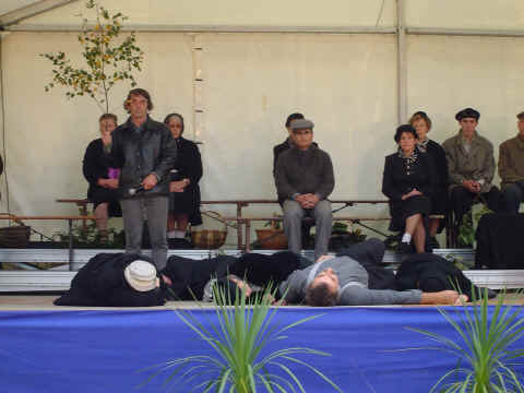 Quand les arbres racontent