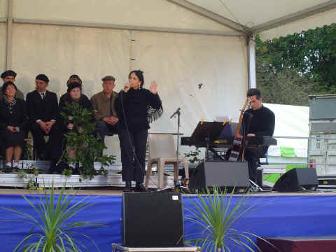 Quand les arbres racontent