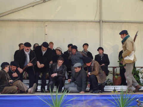 Quand les arbres racontent