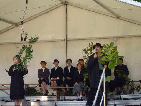 Quand les arbres racontent