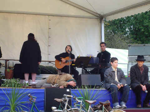 Quand les arbres racontent