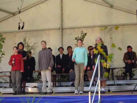 Quand les arbres racontent