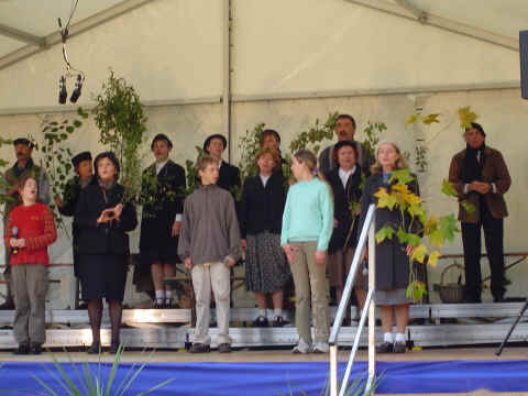 Quand les arbres racontent
