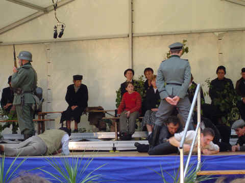 Quand les arbres racontent