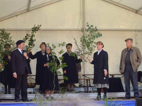 Quand les arbres racontent