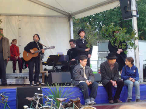 Quand les arbres racontent