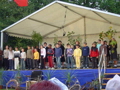 Quand les arbres racontent