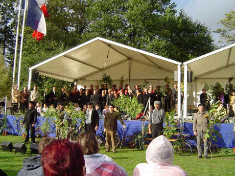 Quand les arbres racontent